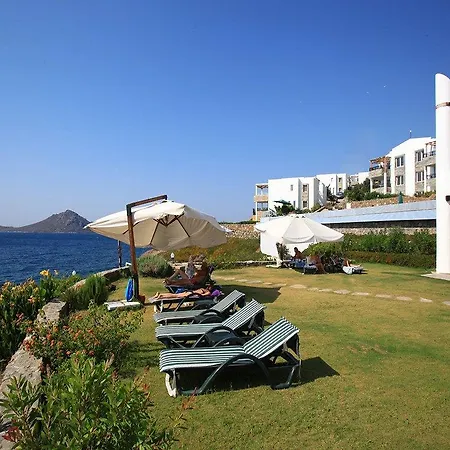Apartments near the sea Διαμέρισμα *